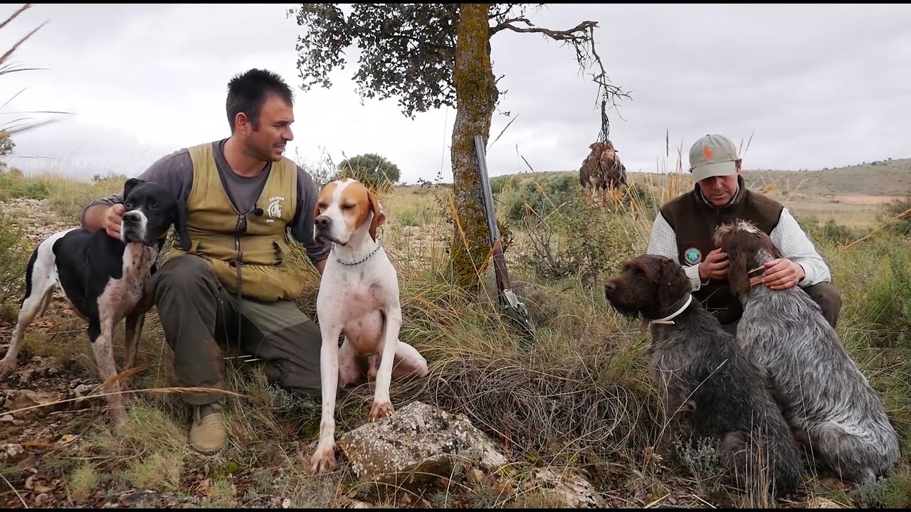 Descubre los mejores días sueltos de caza en Albacete