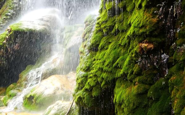 Descubre la duración ideal para recorrer la ruta de las cascadas de Bogarra